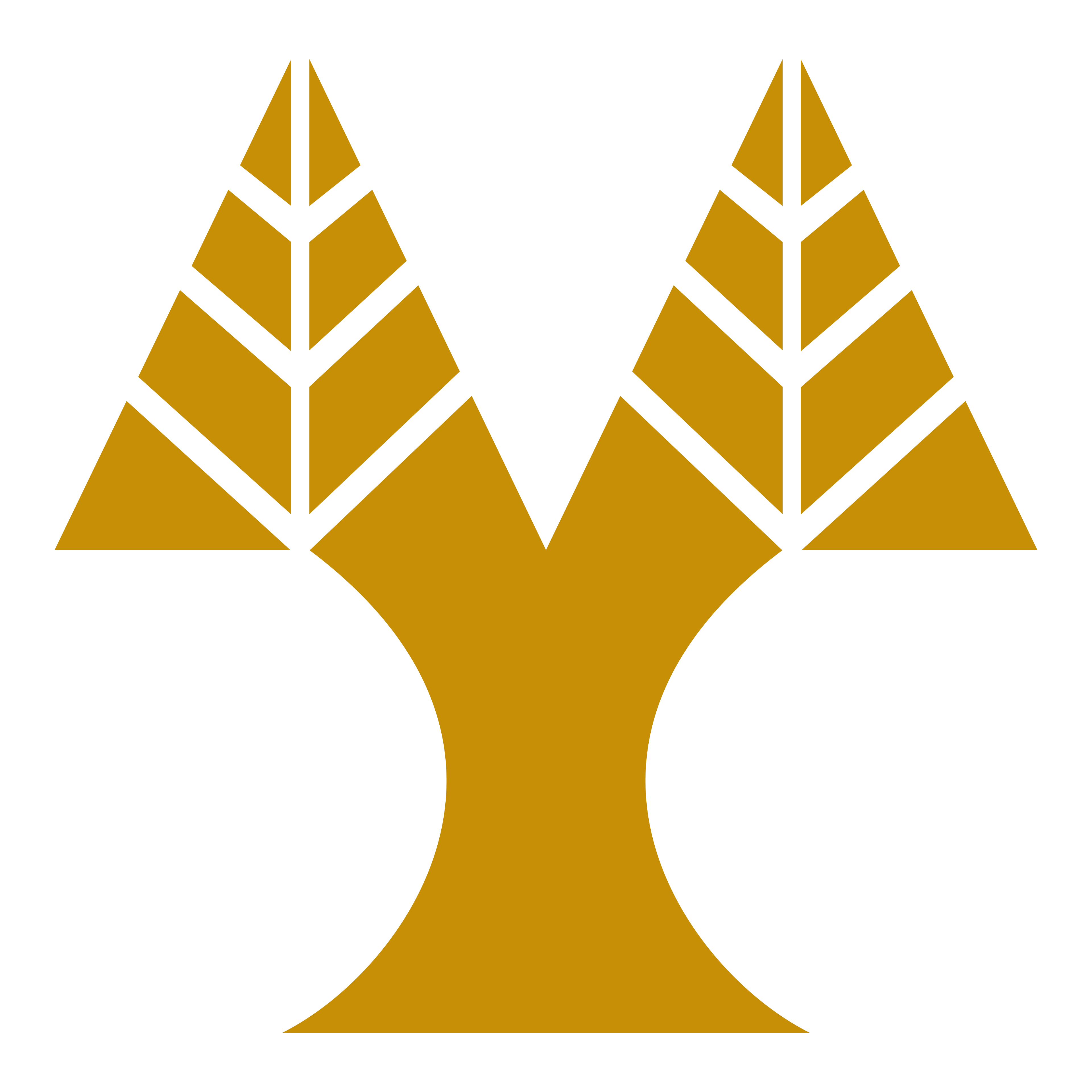 University of Cyprus